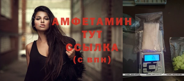 трава Гусиноозёрск
