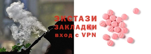 трава Гусиноозёрск