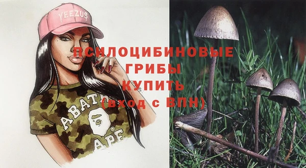 спиды Гусь-Хрустальный