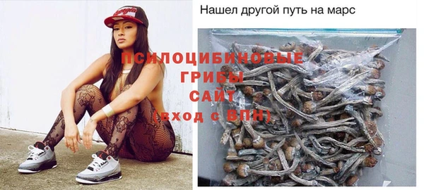 спиды Гусь-Хрустальный