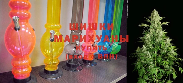трава Гусиноозёрск