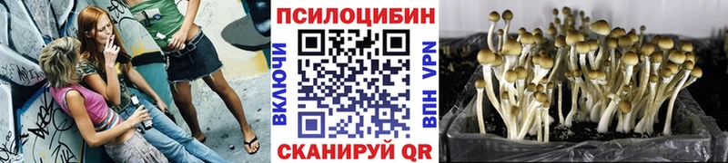 Галлюциногенные грибы Magic Shrooms  Москва 