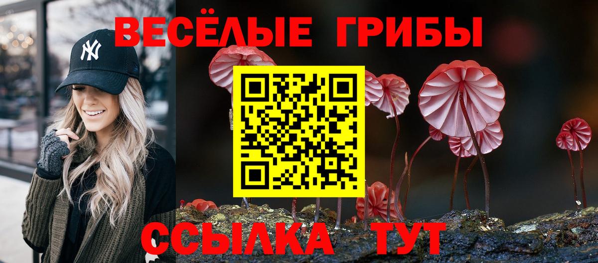 Москва  Псилоцибиновые грибы прущие грибы  Вход с VPN  Галлюциногенные грибы мухоморы 